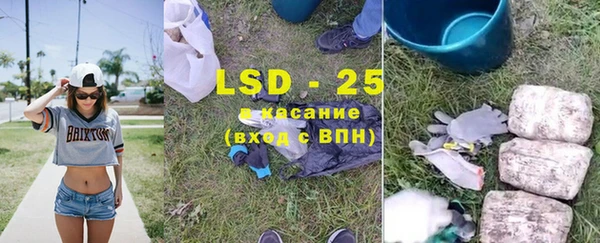 MESCALINE Аркадак