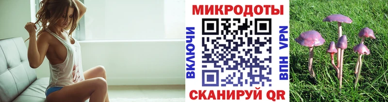 Псилоцибиновые грибы Cubensis Тайга
