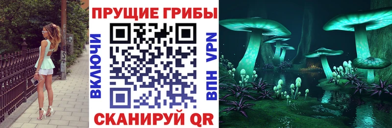 Купить  Тайга  Галлюциногенные грибы GOLDEN TEACHER 